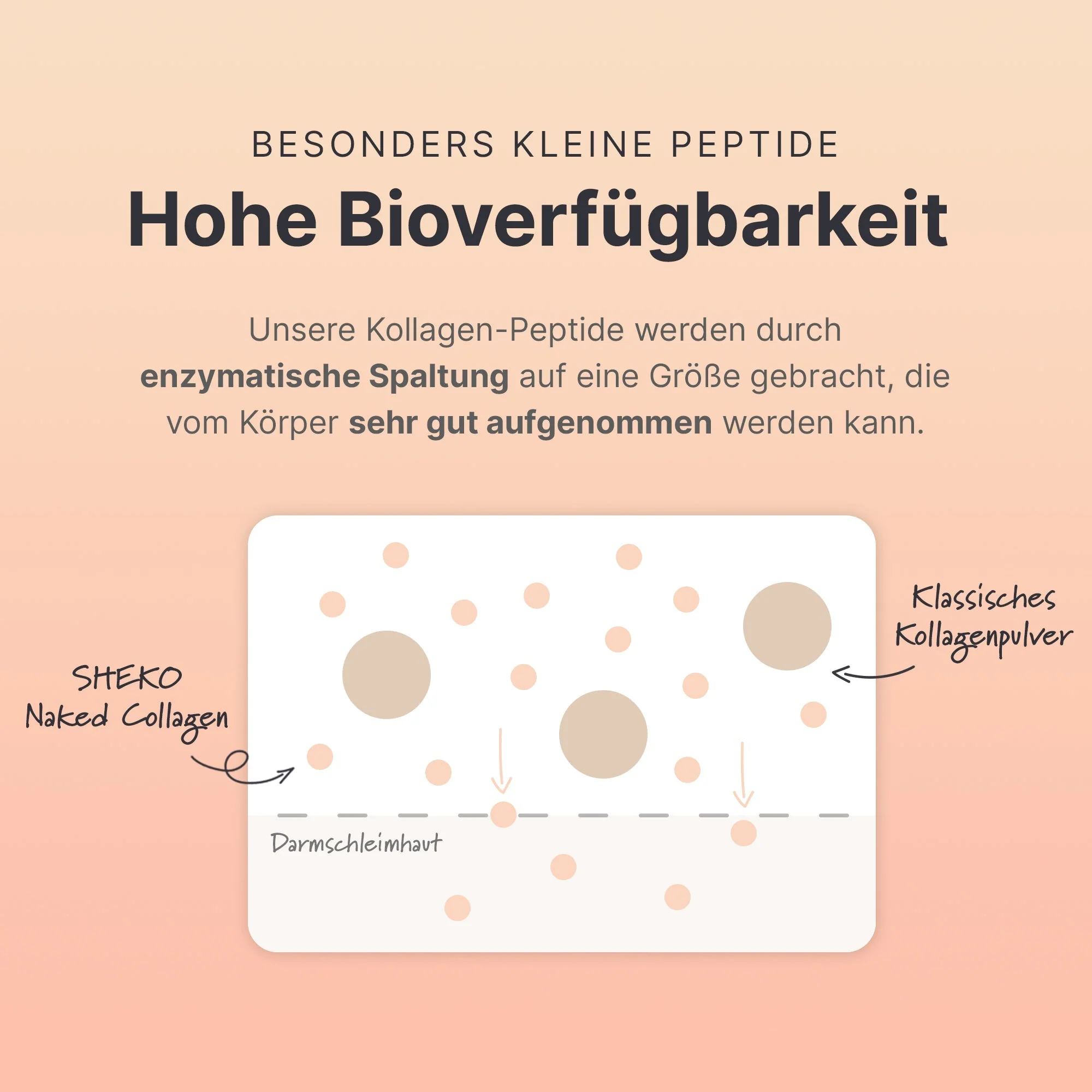 Vorschaubild 9