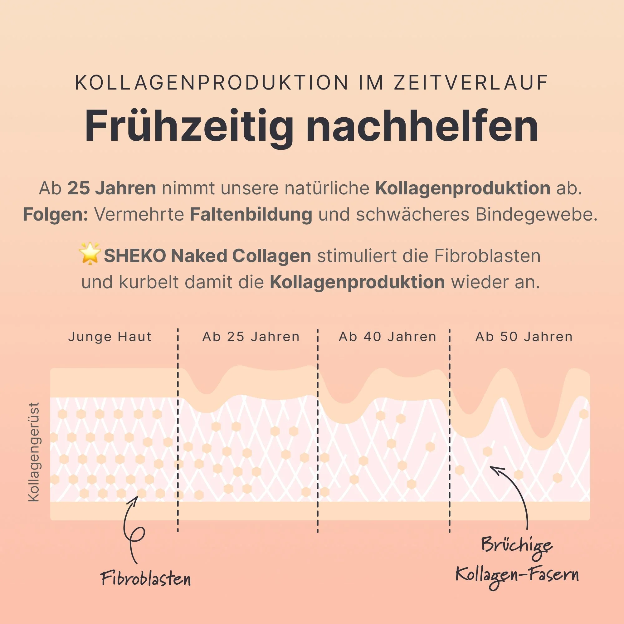 Vorschaubild 7