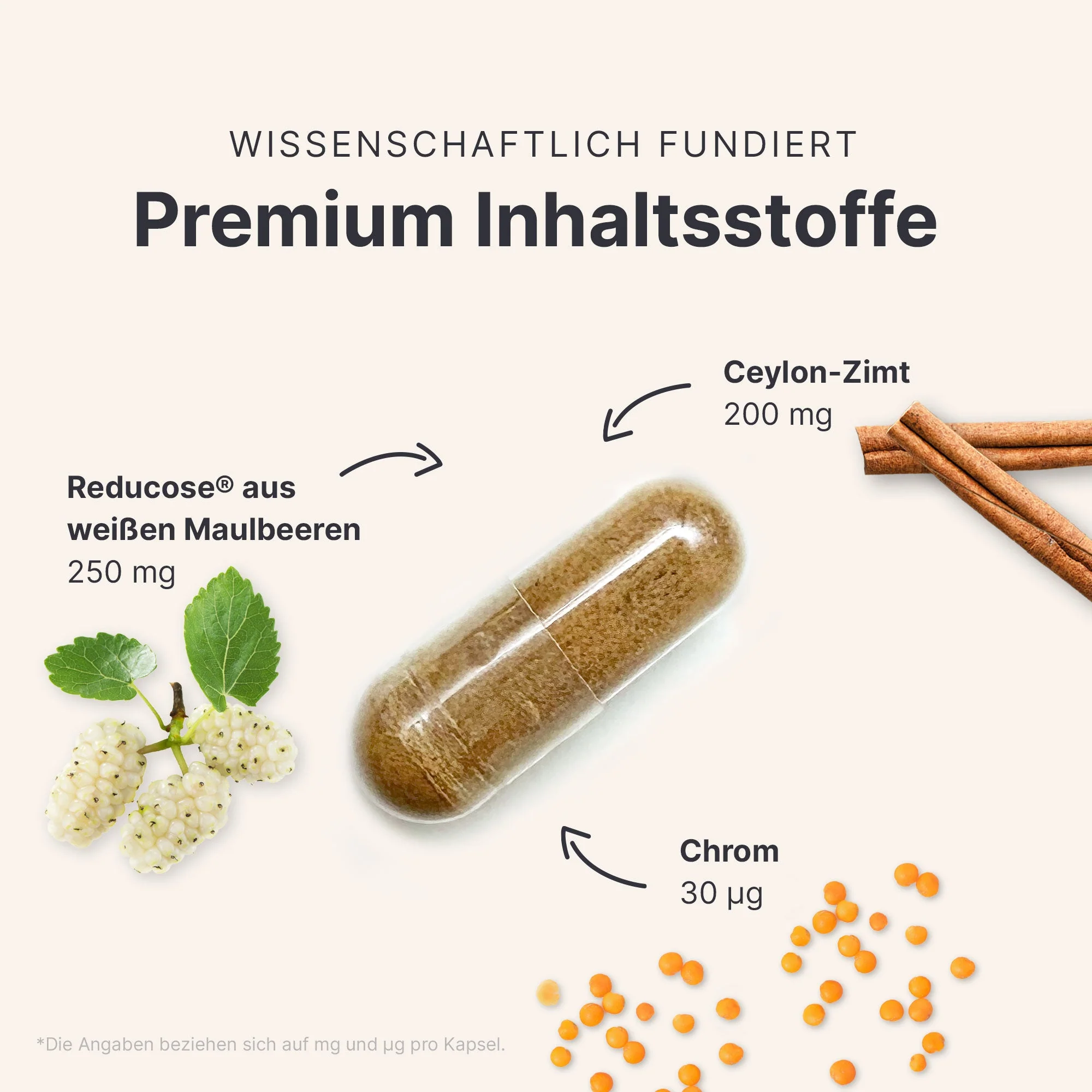 Vorschaubild 7